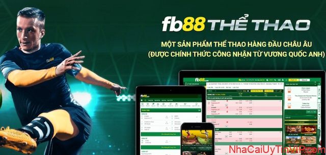 Tham gia cá cược bóng đá an toàn và hiệu quả tại FB88